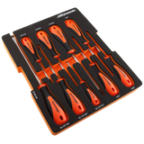 10 Piece Screwdriver Set with Foam Tool Organizer